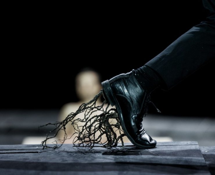 Ο "Μεγάλος Δαμαστής" του Δημήτρη Παπαϊωάννου για δύο παραστάσεις στο Μέγαρο Μουσικής Αθηνών